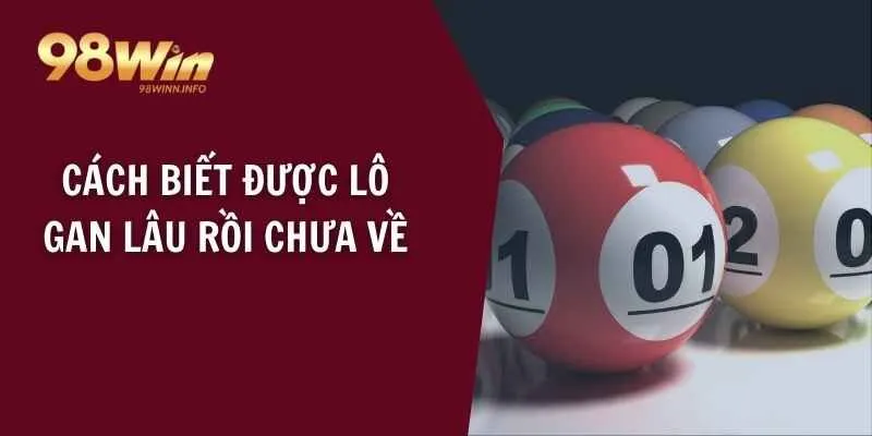 Cách biết được lô gan lâu rồi chưa về