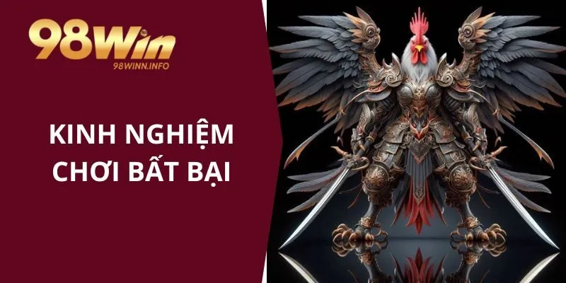 Kinh nghiệm chơi đá gà cựa dao bất bại từ chuyên gia