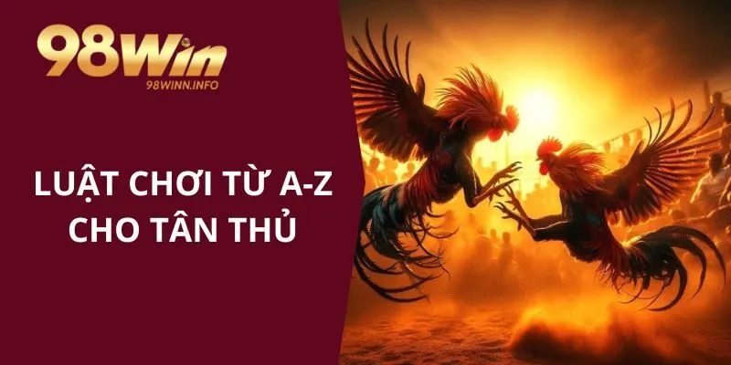 Luật chơi đá gà cựa dao từ A đến Z cho tân thủ