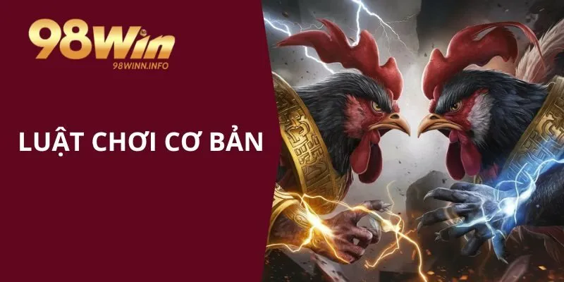 Luật chơi cơ bản đá gà Thomo anh em nên biết