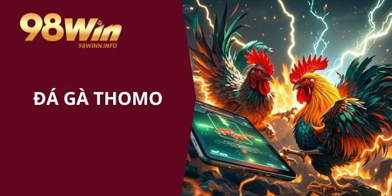 Đá gà Thomo