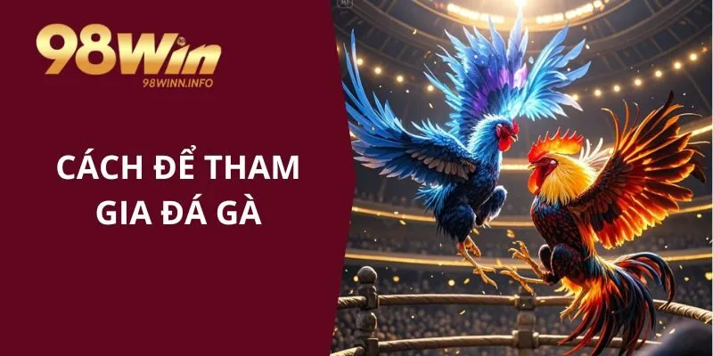 Cách để vào tham gia đá gà online tại nhà cái 98WIN