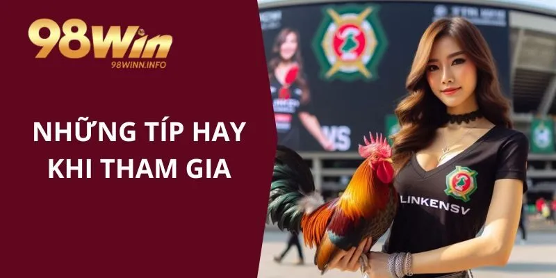 Những tips hay khi tham gia vào xem đá gà tại trang chủ nhà cái