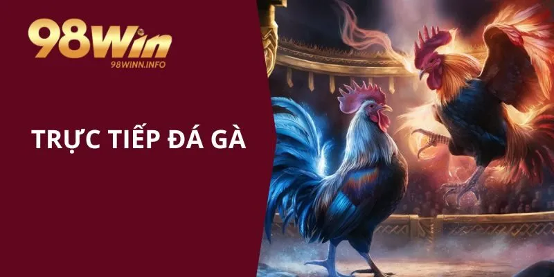 Trực Tiếp Đá Gà 98WIN